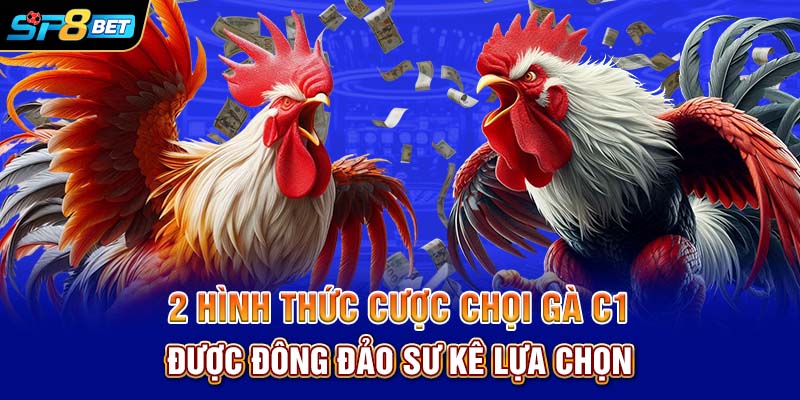 2 hình thức cược chọi gà C1 được đông đảo sư kê lựa chọn