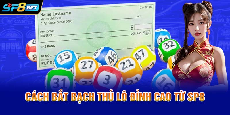 Cách bắt bạch thủ lô đỉnh cao từ SP8
