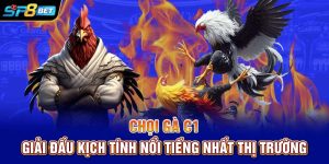 Chọi Gà C1 | Giải Đấu Kịch Tính Nổi Tiếng Nhất Thị Trường