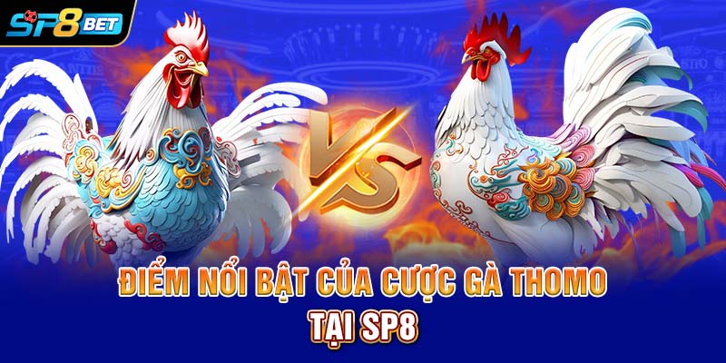 Điểm nổi bật của cược gà Thomo tại SP8