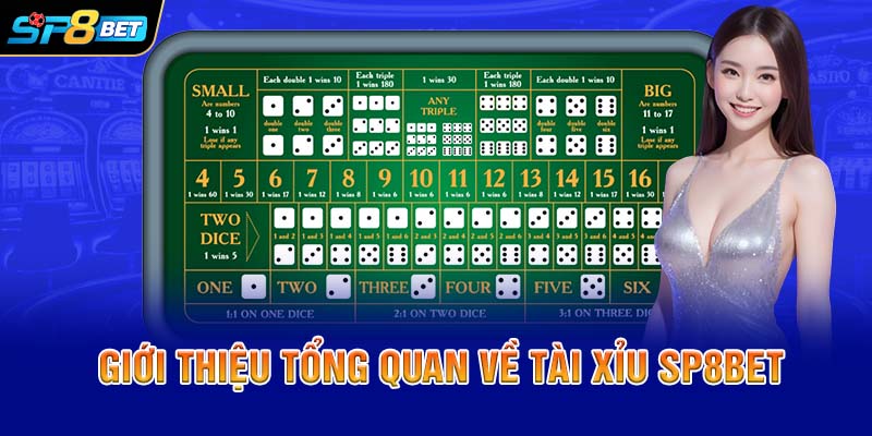 Giới thiệu tổng quan về tài xỉu SP8BET