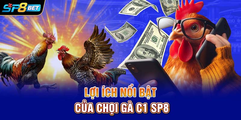 Lợi ích nổi bật của chọi gà C1 SP8