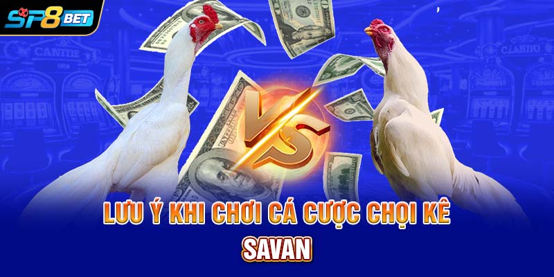 Lưu ý khi chơi cá cược chọi kê Savan