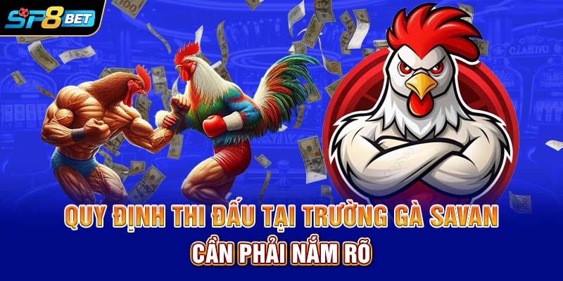 Quy định thi đấu tại trường gà Savan cần phải nắm rõ
