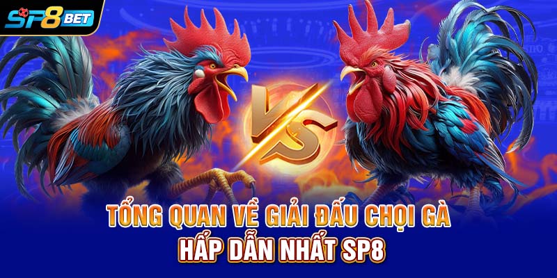 Tổng quan về giải đấu chọi gà hấp dẫn nhất SP8